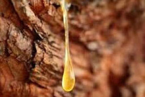 ยางไม้หอมเมอร์ (Myrrh)